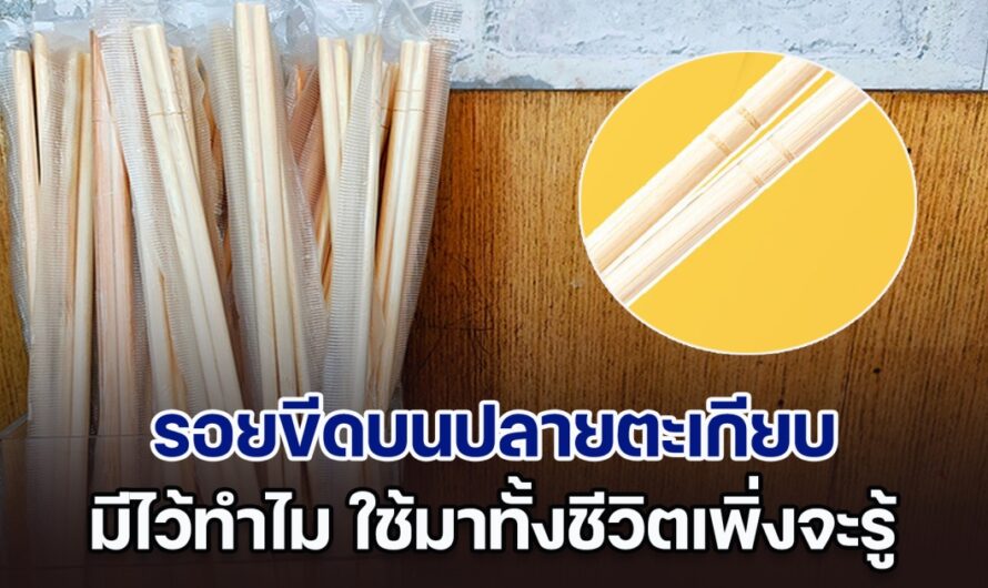 เฉลยแล้ว! รอยขีดบนปลายตะเกียบ มีไว้ทำไม ใช้มาทั้งชีวิตเพิ่งจะรู้