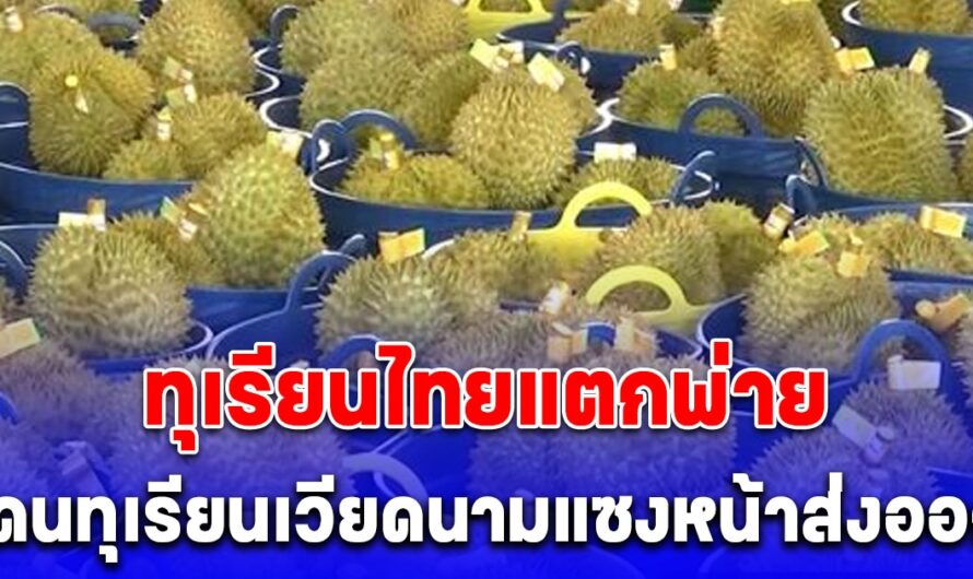 เวียดนามตีตลาด ส่งออกทุเรียนถึงจีนเพียบตัวเลขแซงไทย เผย 3 ปัจจัยใหญ่ ที่ทำให้มาถึงจุดนี้