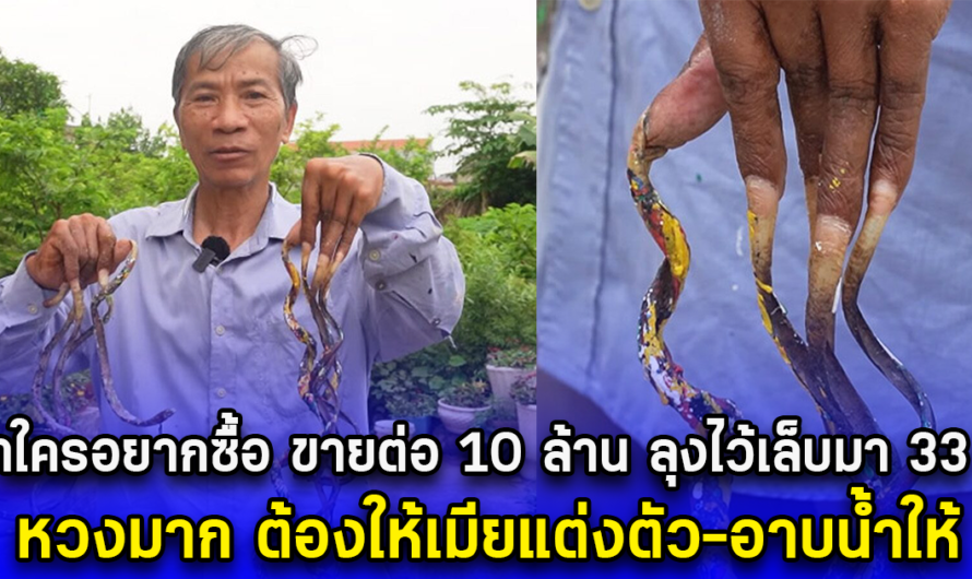 ถ้าใครอยากซื้อ ขายต่อ 10 ล้าน ลุงไว้เล็บมา 33 ปี เผยหวงมาก ต้องให้เมียแต่งตัว-อาบน้ำให้