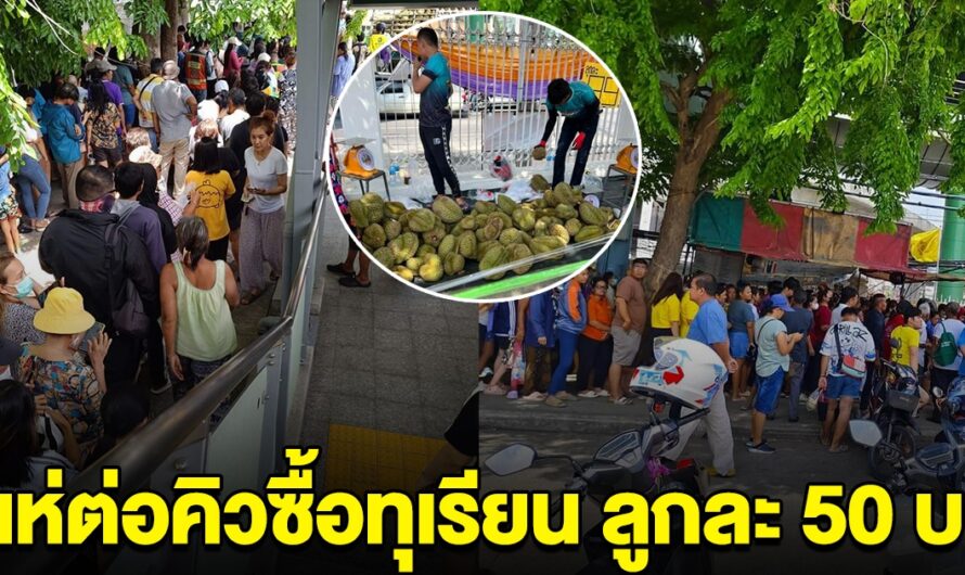 คนแห่ถามพิกัด ทุเรียนลูกละ 50 บ. ล่าสุดคนต่อคิวแน่น