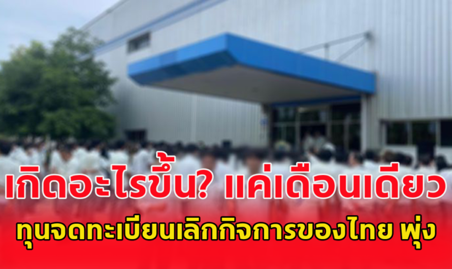 ทุนจดทะเบียนเลิกกิจการของไทย พุ่ง 5.4 หมื่นล้าน เพิ่มขึ้น 975% สวนทางธุรกิจ Art Toy