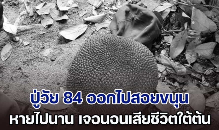 สลด! ปู่วัย 84 ออกไปสอยขนุน หายไปนาน ออกตามหา เจอนอนเสียชีวิตใต้ต้น