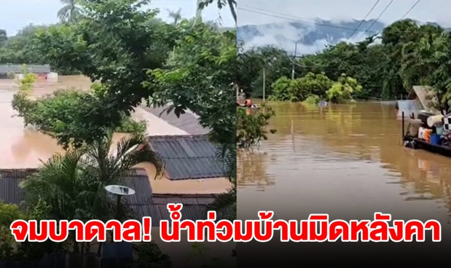 ไทรโยคอ่วมหนัก! ฝนตกต่อเนื่องหลายวัน น้ำท่วมบ้านมิดหลังคาจมบาดาล