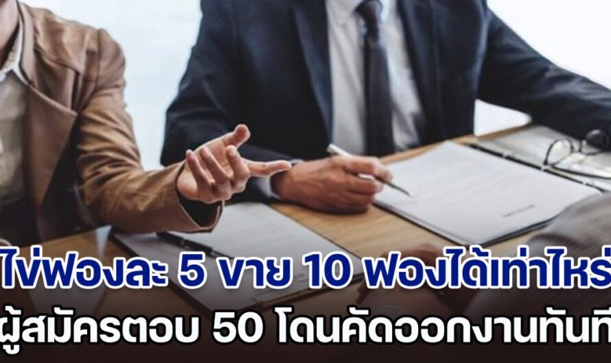 ชาวเน็ตแชร์ไปสัมภาษณ์งาน เจอถามไข่ฟองละ 5 ขาย 10 ฟองได้เท่าไหร่ ตอบ 50 โดนคัดออกทันที ก่อนเฉลยต้องตอบอะไร