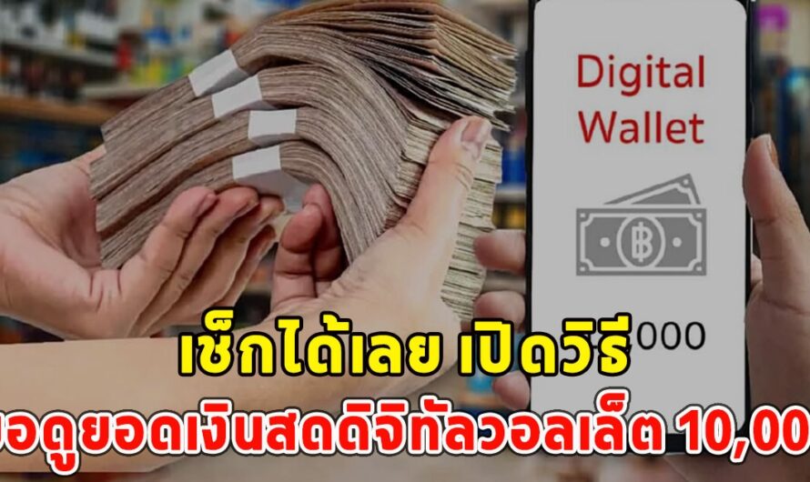 เช็กได้เลย เปิดวิธีขอดูยอดเงินสดดิจิทัลวอลเล็ต 10,000