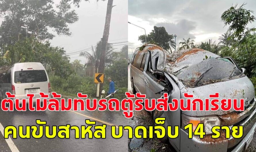 ด่วน!! เกิดอุบัติเหตุลมแรงพัดต้นไม้ใหญ่โค่นลงมาทับรถตู้ รับส่งนักเรียน คนขับสาหัส นักเรียนบาดเจ็บ14 ราย