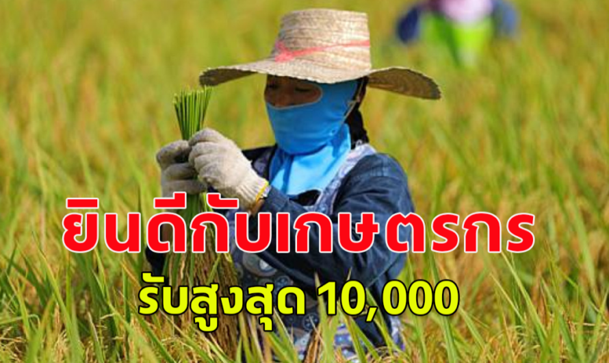 ยินดีด้วย ชาวนา เตรียมรับสูงสูด 10,000