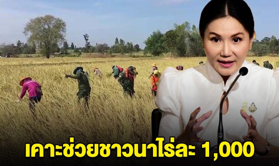 เฮ เคาะช่วยชาวนาไร่ละ 1,000